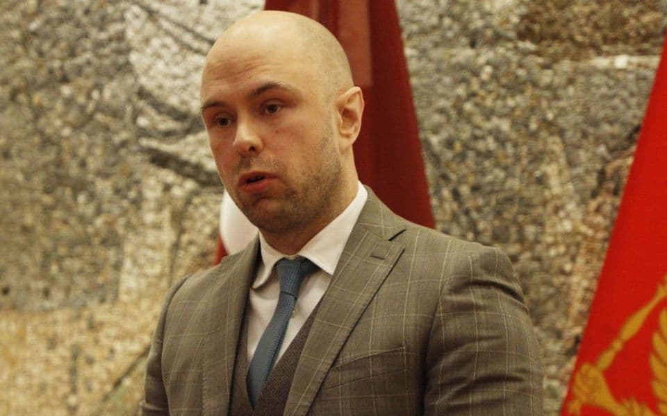 Radulović: Sredinom marta možemo očekivati ratifikovane sporazume iz ...