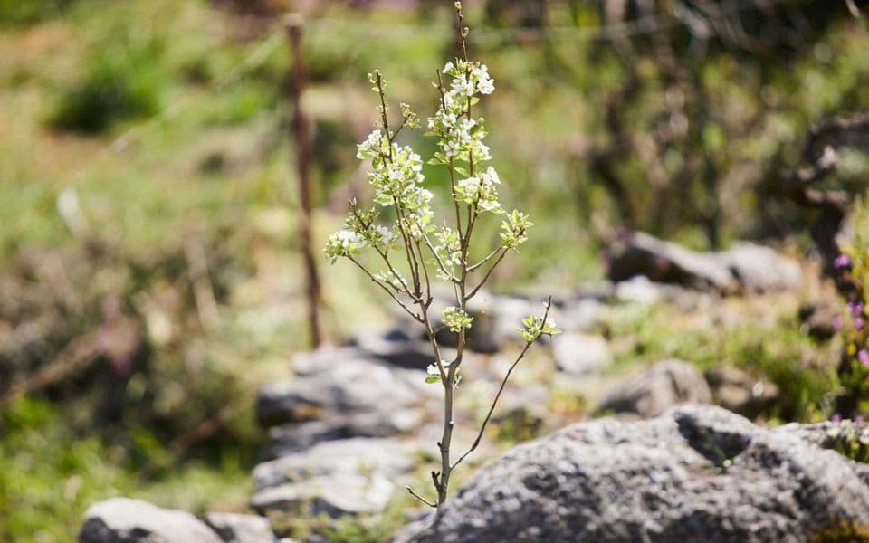 Sunčano uz umjerenu oblačnost