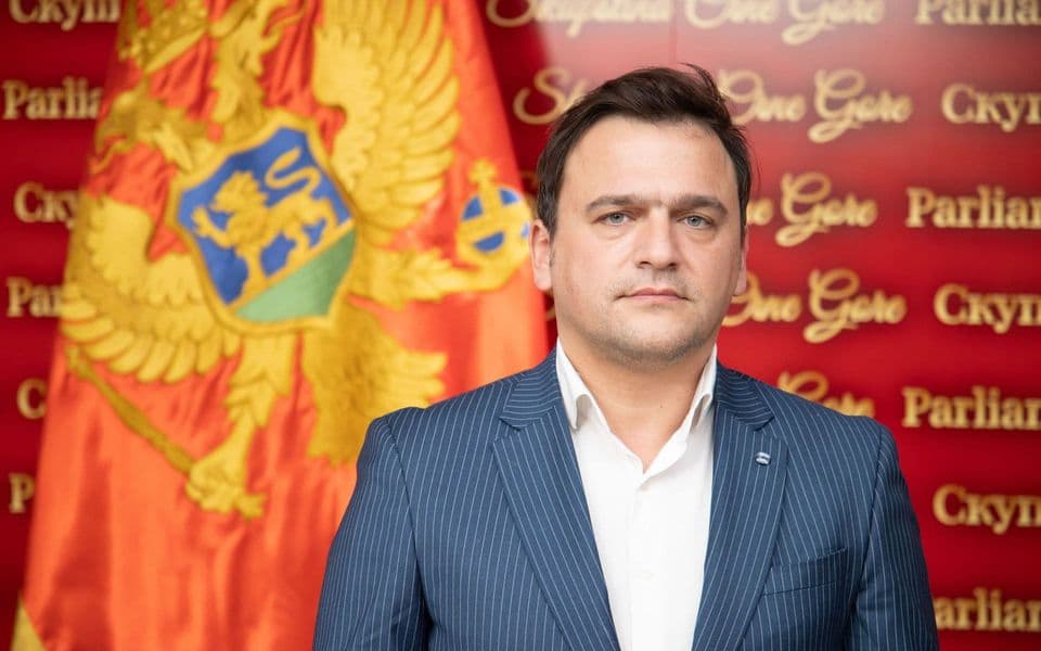 Dragović: Zakone o Vladi i Skupštini usvojiti istovremeno