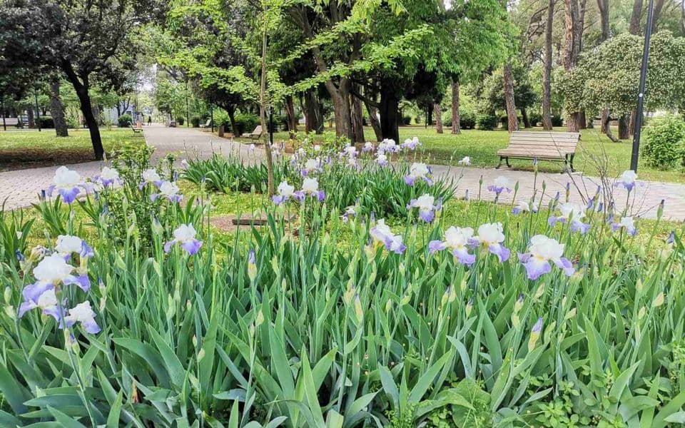 Jednostavna navika koja mijenja način ishrane – i svi je mogu primijeniti