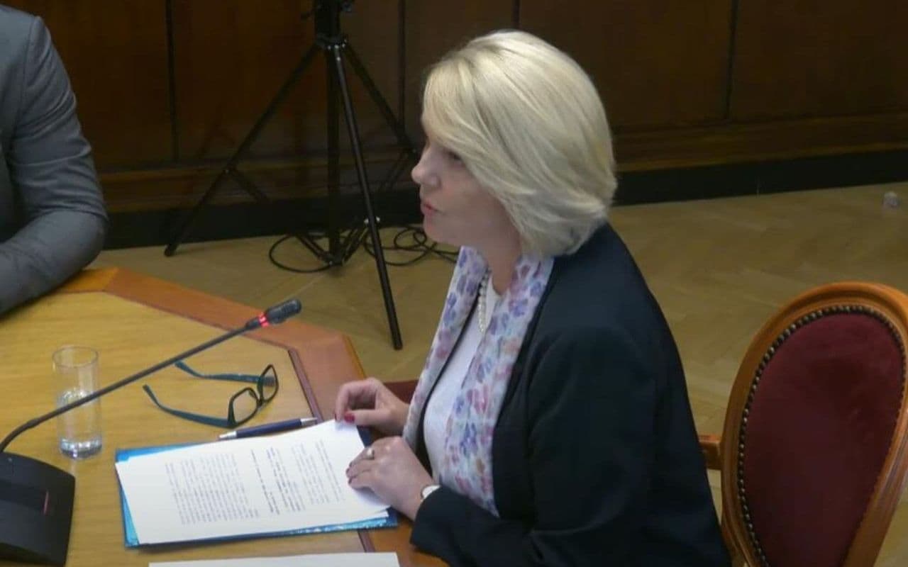 Odbor dao pozitivno mišljenje na predlog da Injac bude ambasadorka u ...