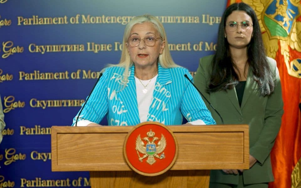 Despotović: Zakon o šumama izazvao šumove u raspadajućoj većini