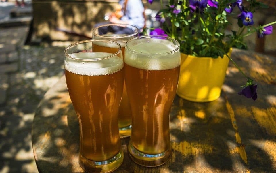 Šta se dešava s vašim tijelom ako svaki dan pijete pivo