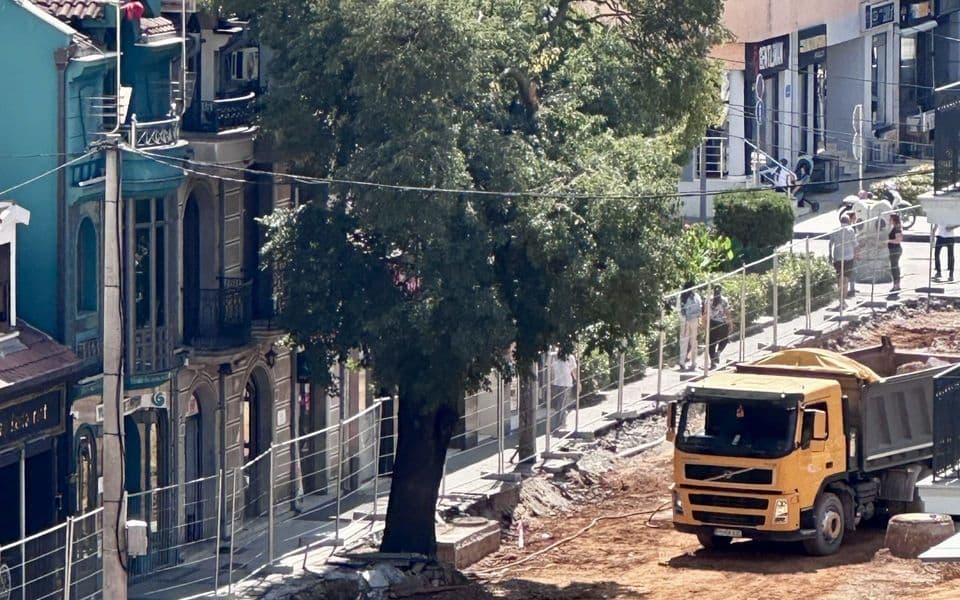 Podgorica: Koščelu staru decenijama bi da posjeku zbog rekonstrukcije ulice Slobode