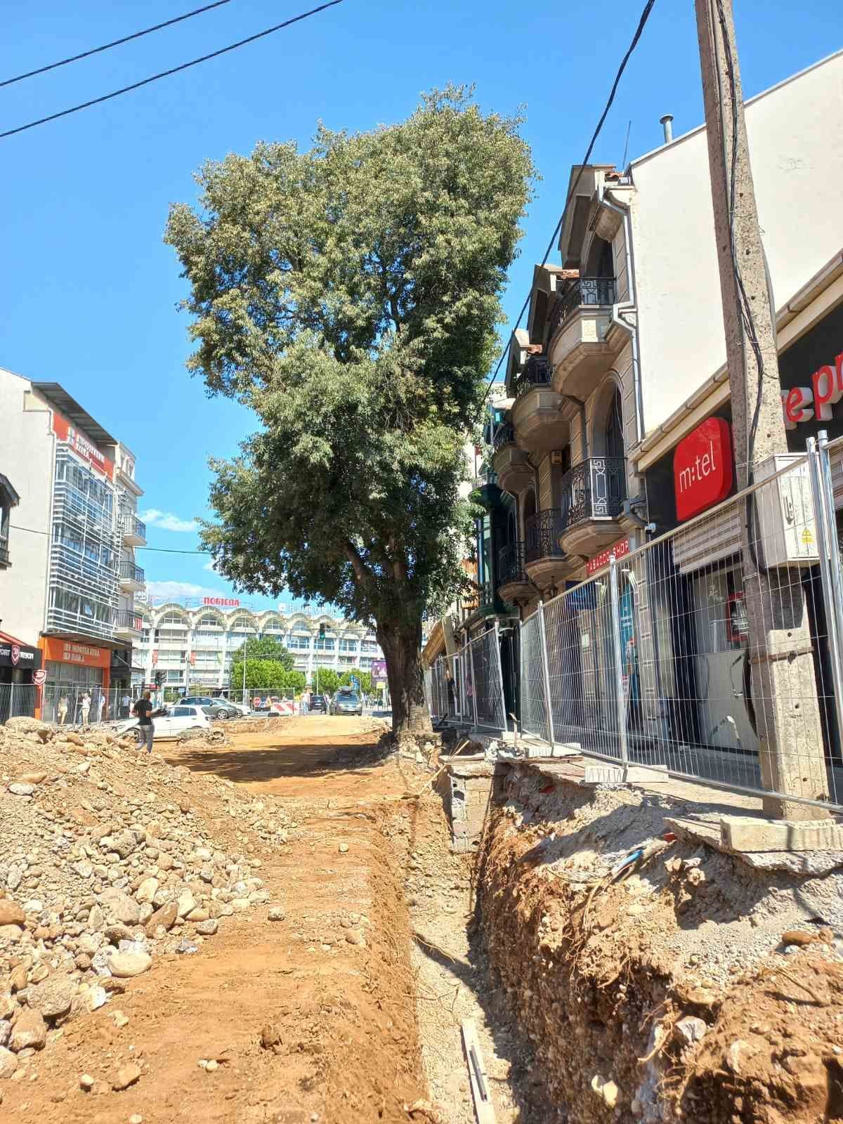 Pozivaju nadležne iz gradske uprave da zaustave ekocid u centru grada