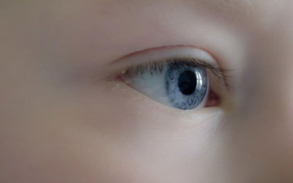 Španski istraživači razvili jeftinu vještačku rožnjaču od riblje krljušti