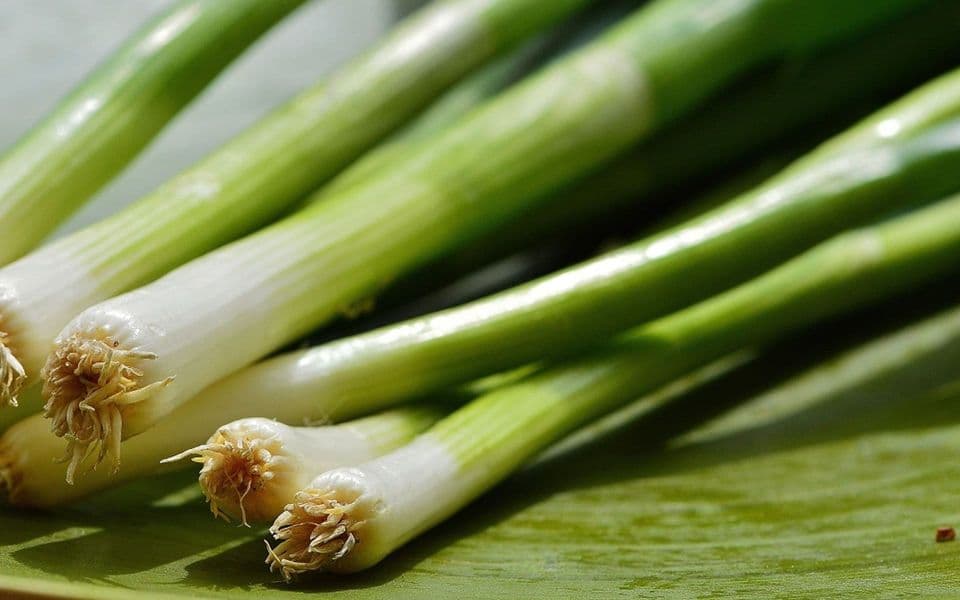 Kilogram mladog luka pet eura