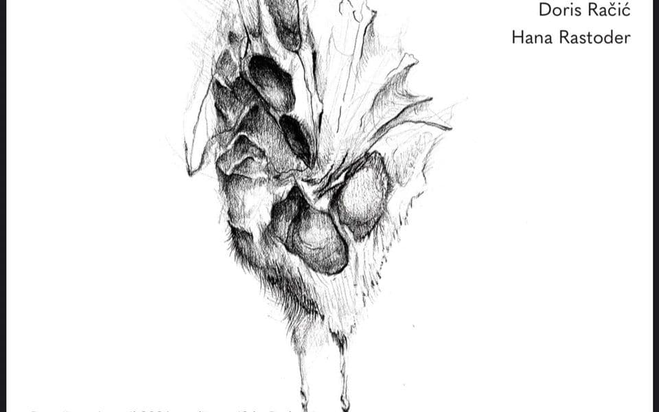 Ženske perspektive u istorijskim narativima