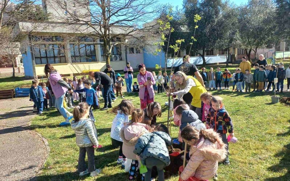 Ko sadi voće, imaće što i da ubere