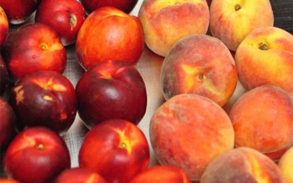 Breskve i nektarine iz Grčke po sedam eura