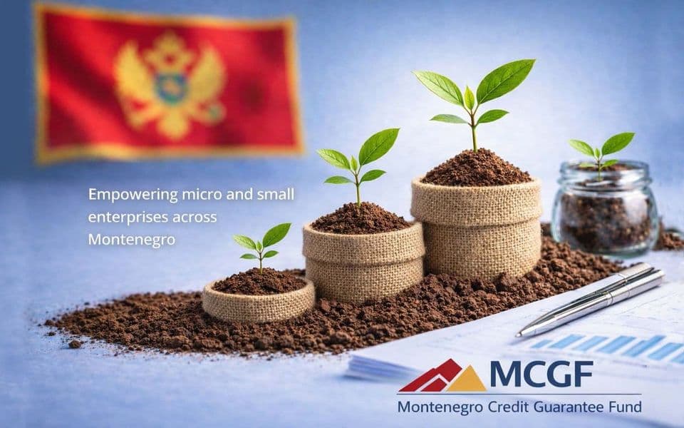Kreditno‑garantni fond Crne Gore raspisuje javni poziv za izbor izvršnog direktora