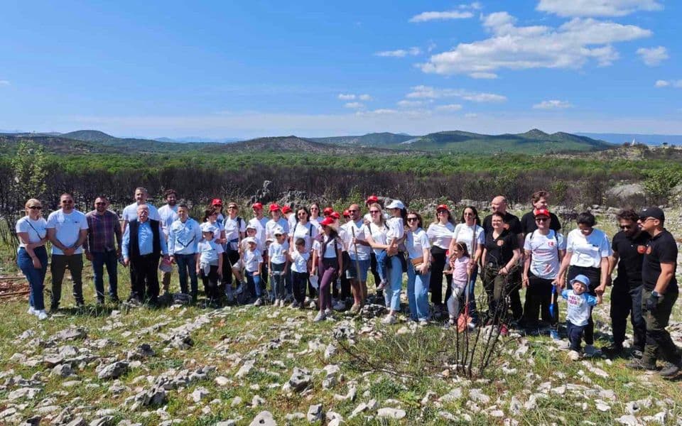 „Zelena obnova Crne Gore“ u Piperima, zasađeno 60 sadnica drveća