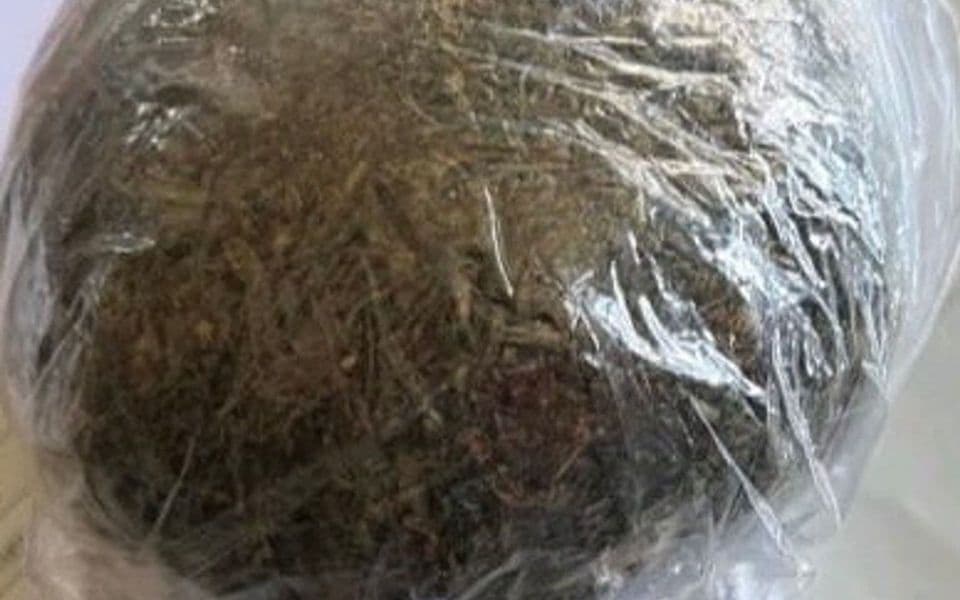Akcije policije u Budvi, Nikšiću i Pljevljima: Oduzeta marihuana i opijati, procesuirane četiri osobe