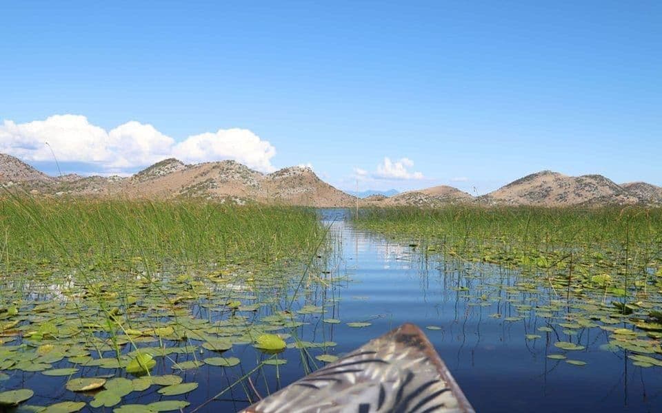 Uhapšen Zećanin: Osumnjičen da je preko Skadarskog jezera krijumčario preko 100 kilograma marihuane