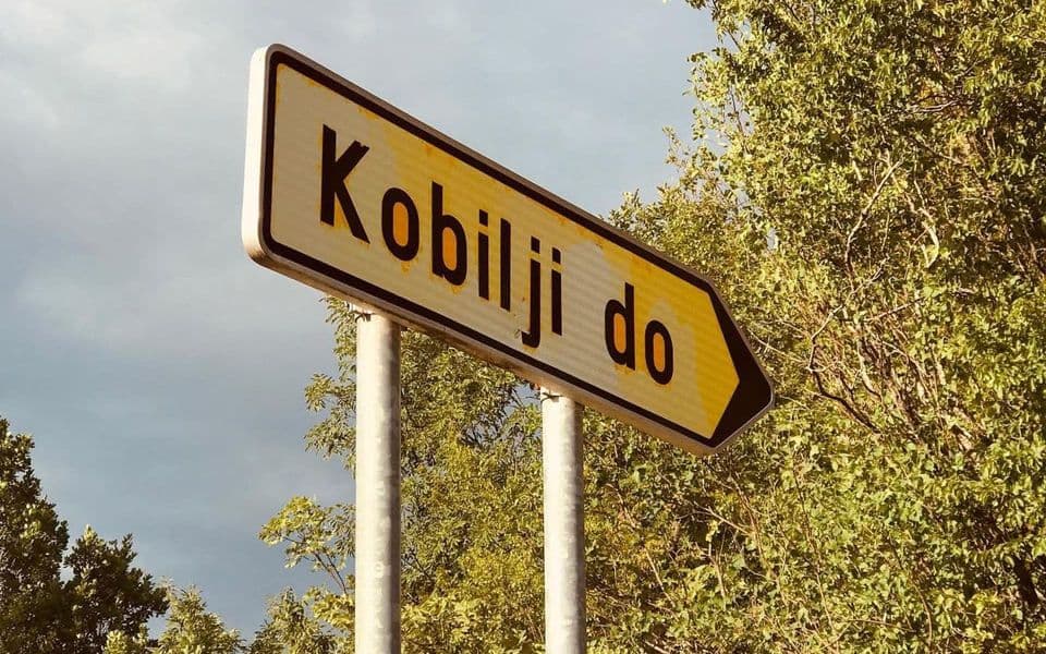 Pucnjava je bila u Kobiljem dolu, a ne u gradu