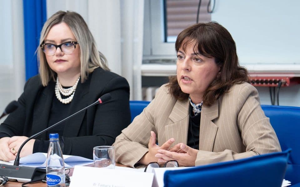 Vujović: Izmjenama zakona jačamo pozorišnu umjetnost i kinematografiju
