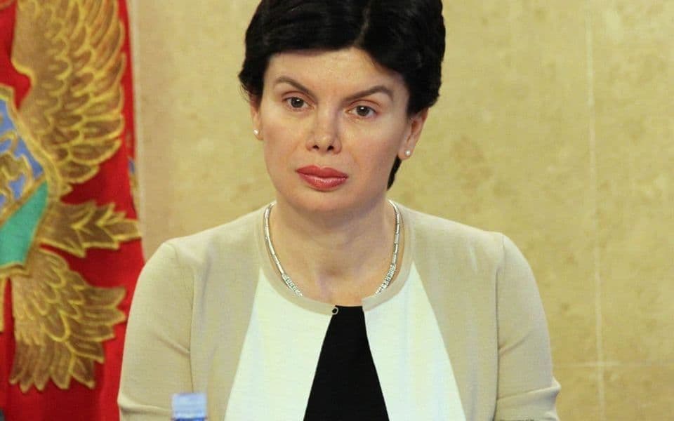 Brajović: Rizik od epidemije ebole u Evropi nizak, svi koji moraju da putuju u Afriku da budu oprezni