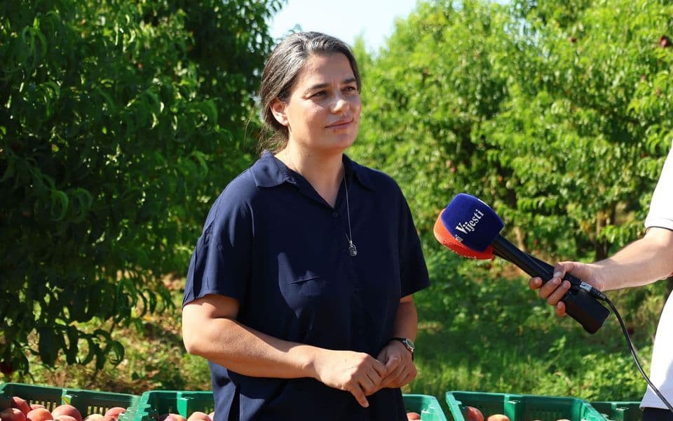 Peruničić: Berba voća teče planiranom dinamikom, očekujemo v