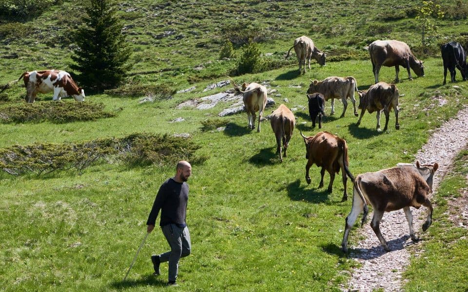 Predloženo zakonsko rješenje donosi dodatne prepreke za razvoj seoskog turizma