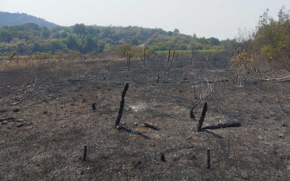Traže poštenu, a ne simboličnu nadoknadu