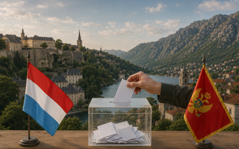 Crna Gora između evropskih ambicija i prava dijaspore