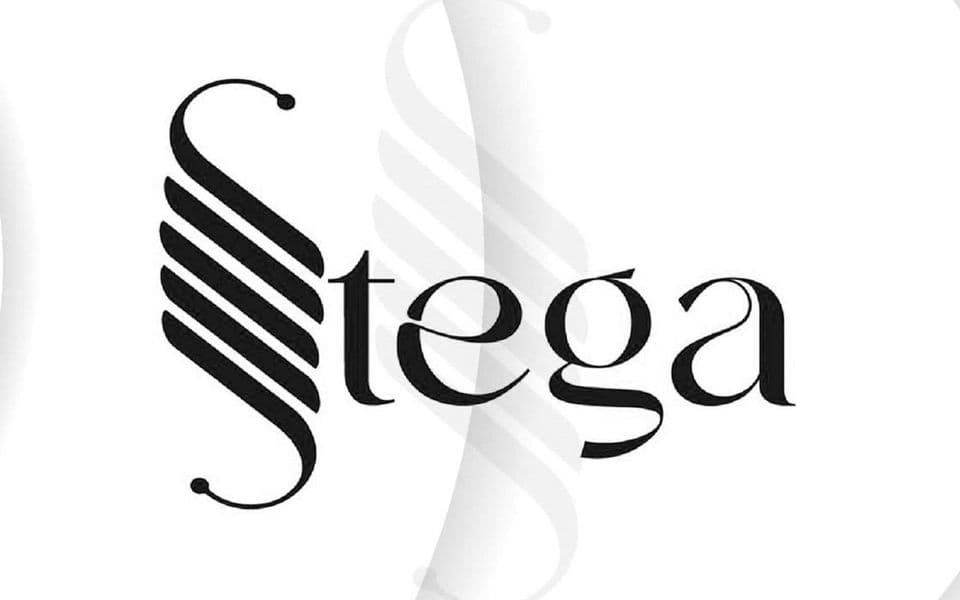 STEGA na raskršću